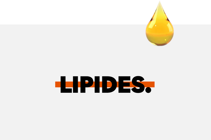 The complete guide to lipids.