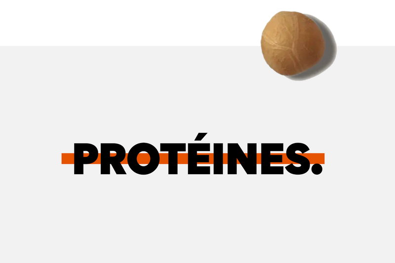 The ultimate guide to protein.